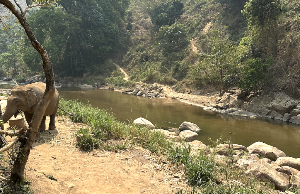 Sitting in the pavilion and looking at the Mae Taeng River at Smile Elephant Sanctuary in Chiang Mai